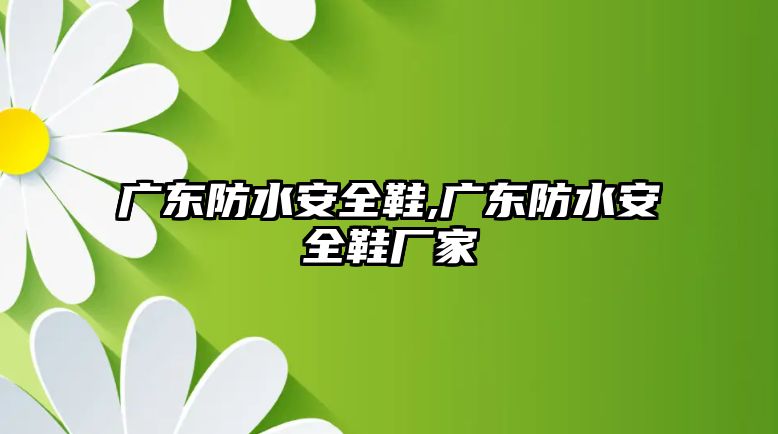 廣東防水安全鞋,廣東防水安全鞋廠家