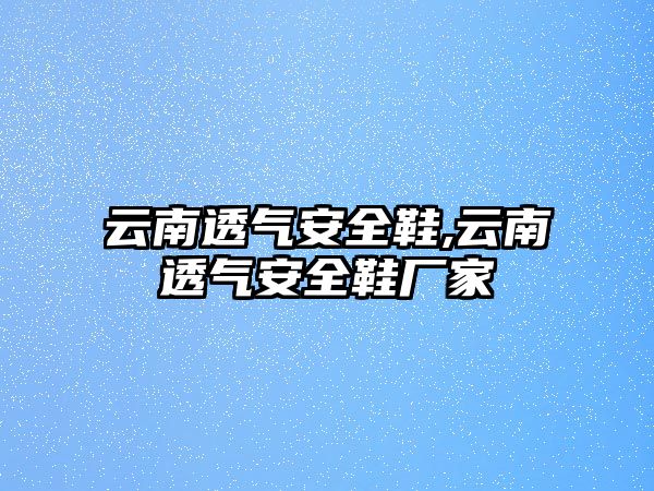 云南透氣安全鞋,云南透氣安全鞋廠家