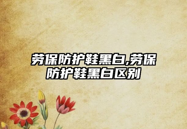 勞保防護(hù)鞋黑白,勞保防護(hù)鞋黑白區(qū)別