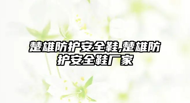 楚雄防護(hù)安全鞋,楚雄防護(hù)安全鞋廠家