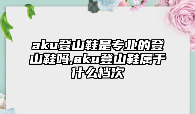 aku登山鞋是專業(yè)的登山鞋嗎,aku登山鞋屬于什么檔次