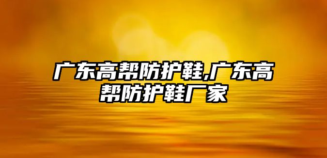 廣東高幫防護鞋,廣東高幫防護鞋廠家