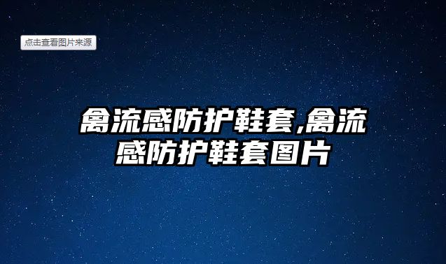 禽流感防護鞋套,禽流感防護鞋套圖片