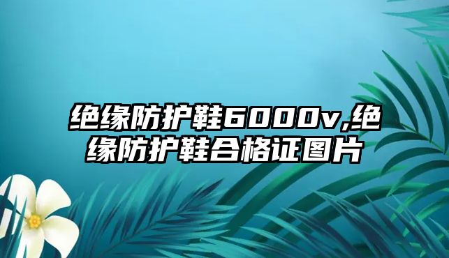 絕緣防護鞋6000v,絕緣防護鞋合格證圖片