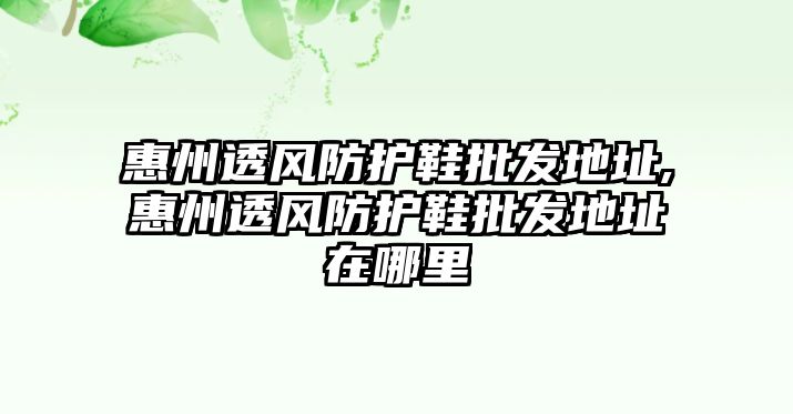 惠州透風防護鞋批發(fā)地址,惠州透風防護鞋批發(fā)地址在哪里