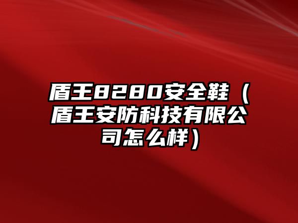 盾王8280安全鞋（盾王安防科技有限公司怎么樣）