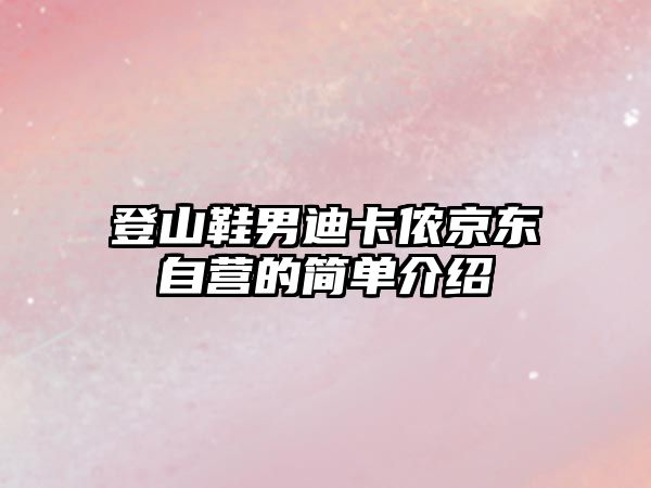 登山鞋男迪卡儂京東自營的簡單介紹